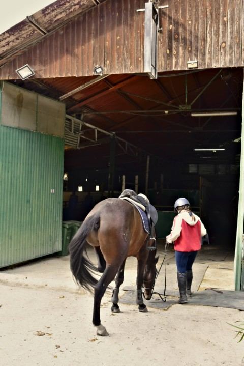 Instalaciones de AV Sport Horses
